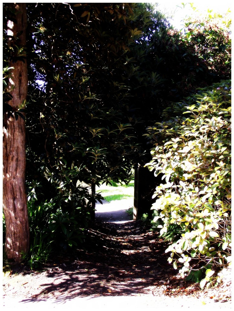 visit_penryn_tremough_walled_garden_fb